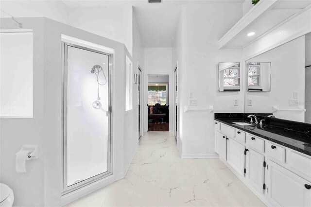 bathroom featuring vanity, toilet, and walk in shower