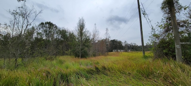 Listing photo 3 for Joe King Rd, Plant City FL 33567