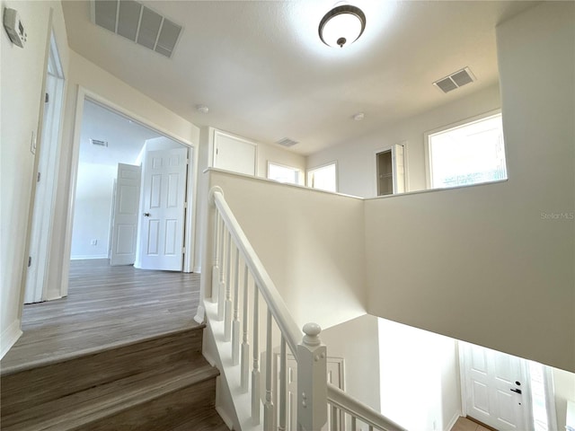 corridor featuring dark wood-type flooring, visible vents, and a healthy amount of sunlight