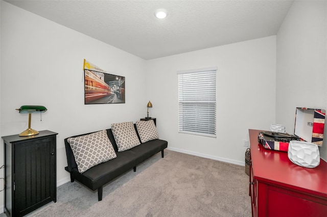 sitting room with light carpet and a textured ceiling