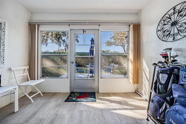 entryway with light wood-type flooring