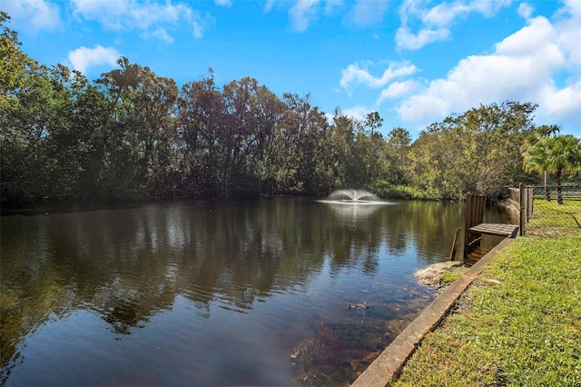 property view of water