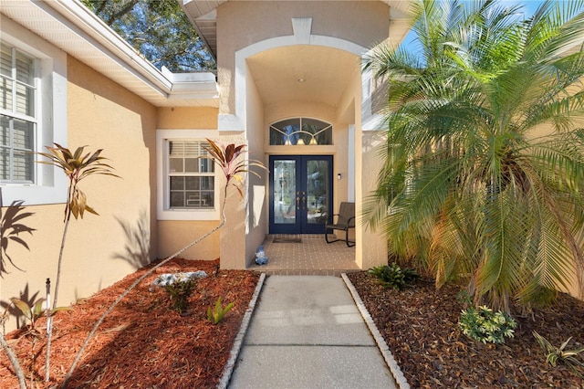 5211 Karlsburg Pl, Palm Harbor, FL 34685 - view of exterior entry with french doors and stucco siding