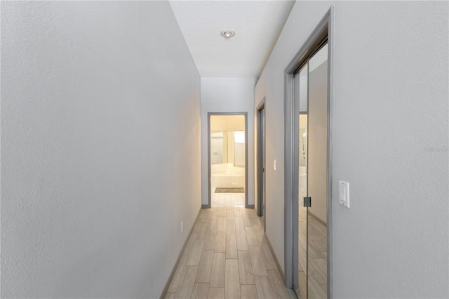 hallway with light hardwood / wood-style flooring