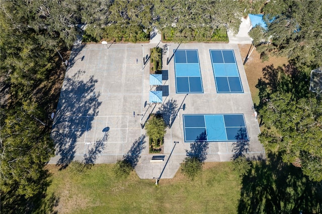 5211 Karlsburg Pl, Palm Harbor, FL 34685 - view from above of property