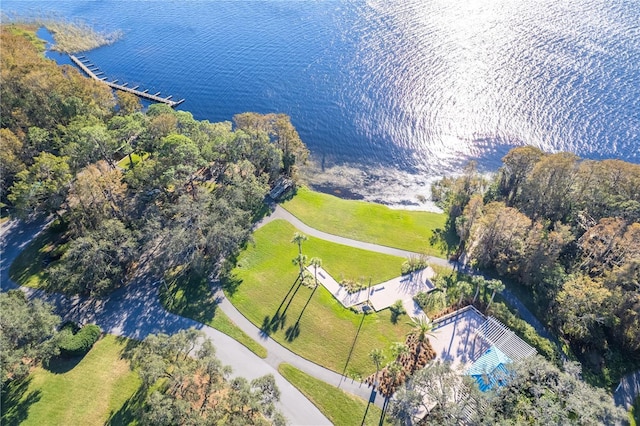 5211 Karlsburg Pl, Palm Harbor, FL 34685 - bird's eye view of a large body of water