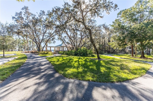 5211 Karlsburg Pl, Palm Harbor, FL 34685 - view of community with a yard