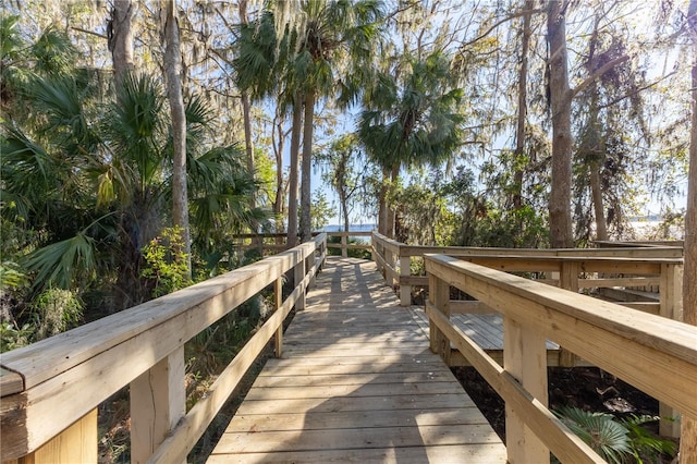 5211 Karlsburg Pl, Palm Harbor, FL 34685 - surrounding community