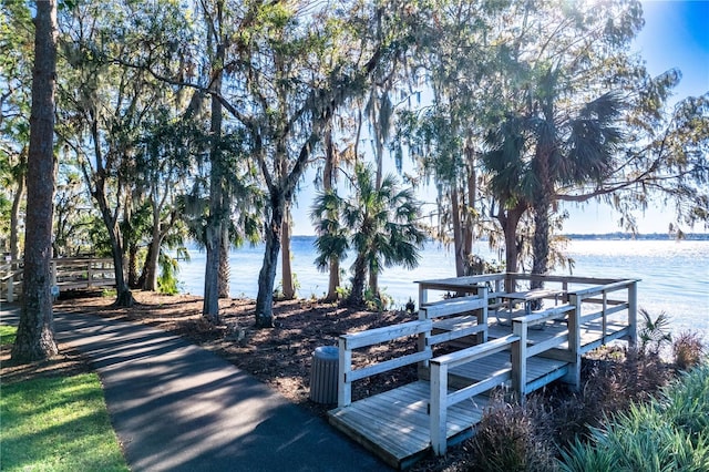 dock area with a water view