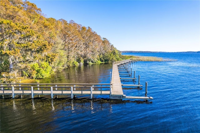5211 Karlsburg Pl, Palm Harbor, FL 34685 - dock area featuring a water view