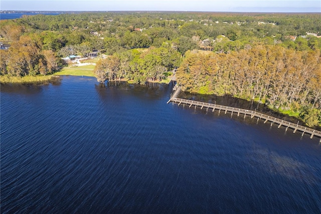 5211 Karlsburg Pl, Palm Harbor, FL 34685 - drone / aerial view of a heavily wooded area and a nearby body of water