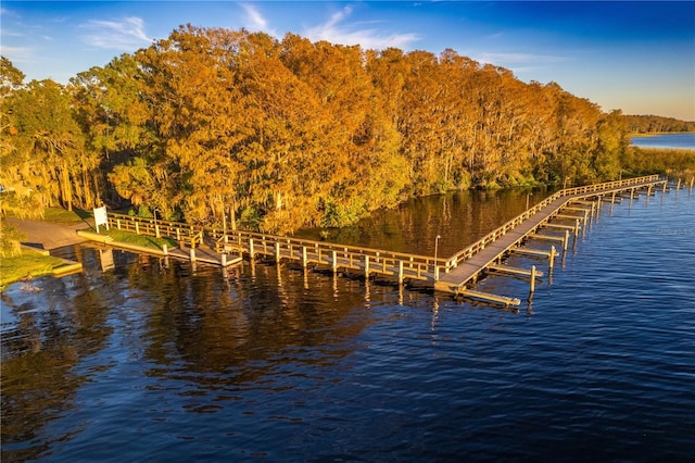 5211 Karlsburg Pl, Palm Harbor, FL 34685 - dock with a water view and a view of trees