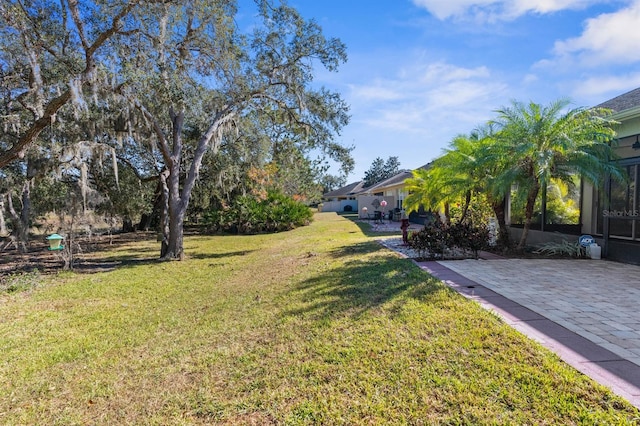 view of yard featuring a patio