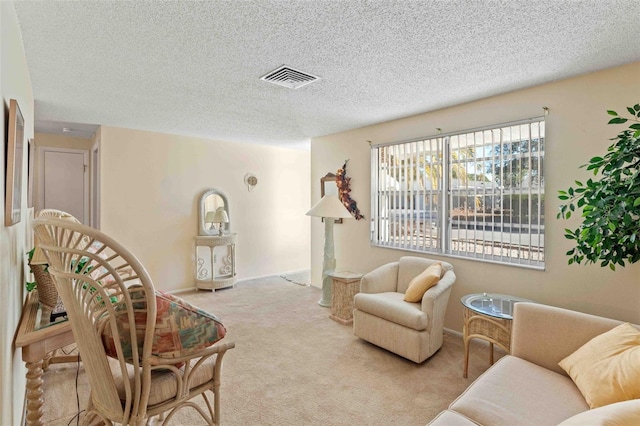 carpeted living room with a textured ceiling