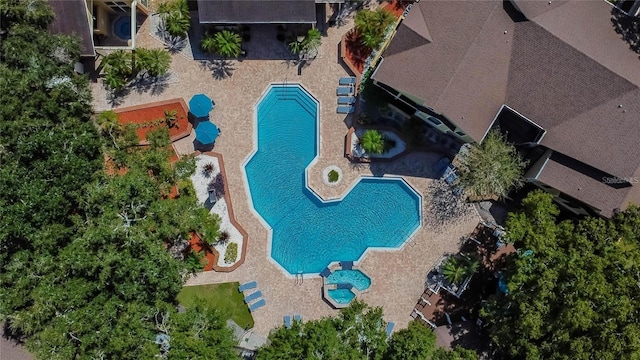 view of swimming pool