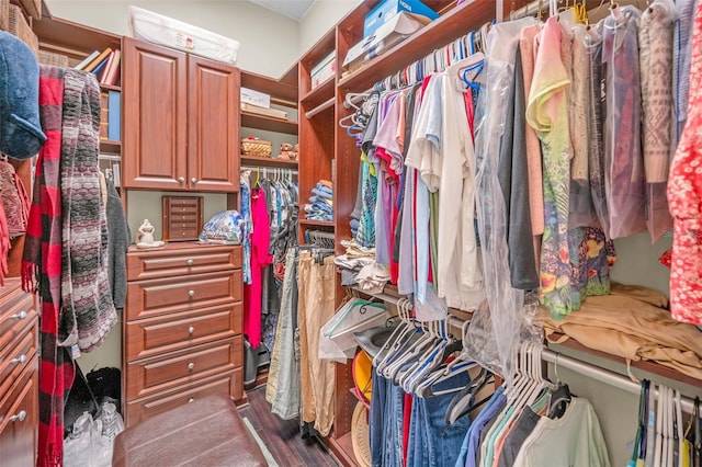 view of walk in closet