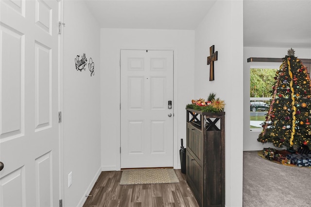 foyer entrance with carpet flooring