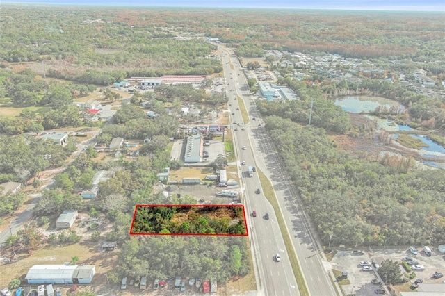 00 State Road 52, Hudson, FL 34669 - photo 13
