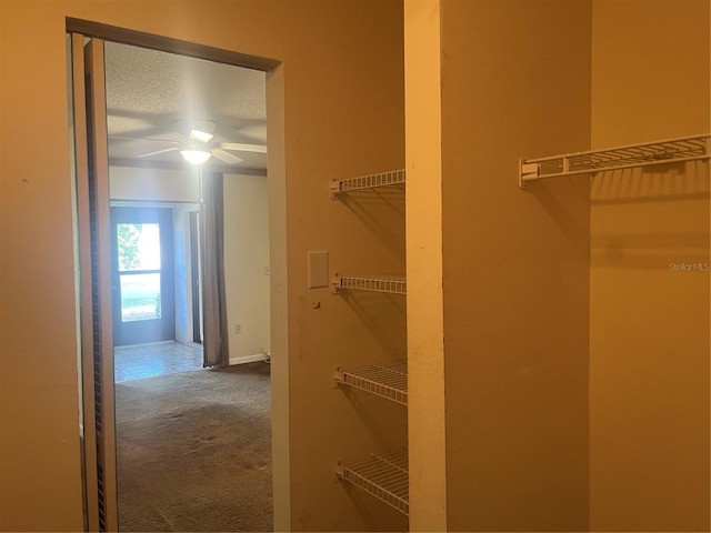 spacious closet featuring carpet flooring and ceiling fan