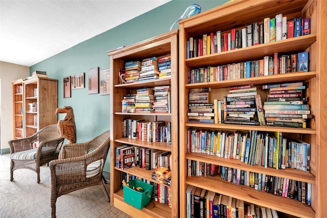 sitting room featuring carpet floors