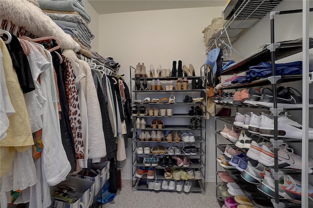 spacious closet featuring carpet floors