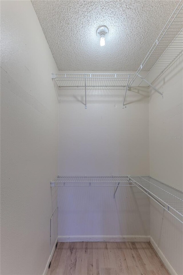 walk in closet with light hardwood / wood-style flooring