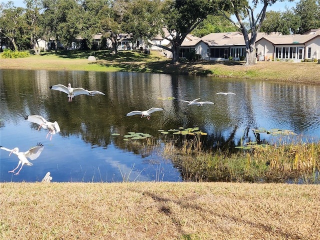 9163 Lingrove Rd, Weeki Wachee, FL 34613 - water view