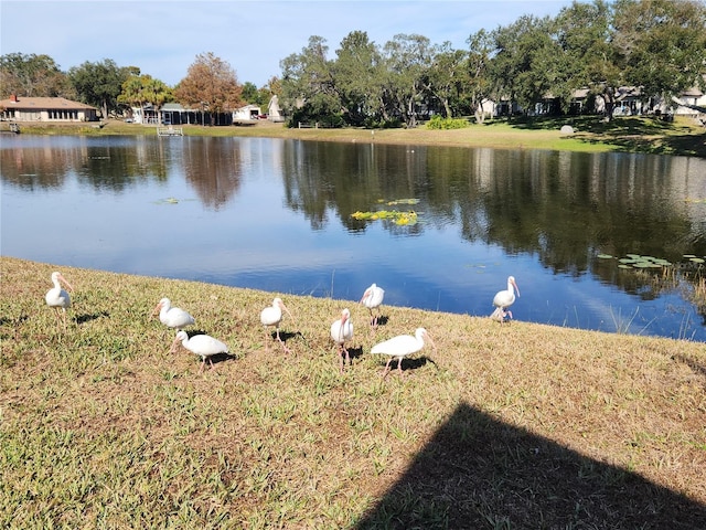 property view of water