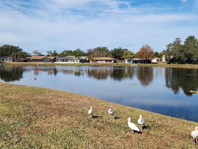 9163 Lingrove Rd, Weeki Wachee, FL 34613 - water view