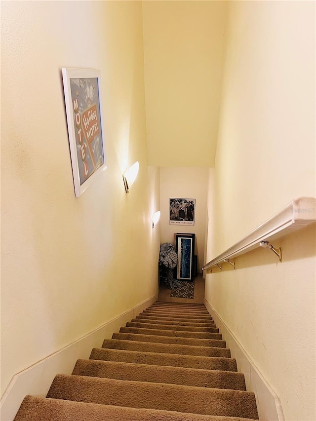 stairway featuring carpet floors