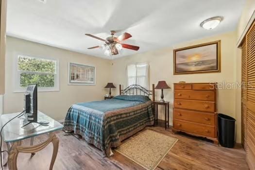 7941 Sycamore Dr, New Port Richey, FL 34654 - bedroom with multiple windows, wood finished floors, and ceiling fan