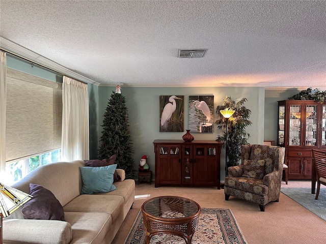 carpeted living room with crown molding and a textured ceiling