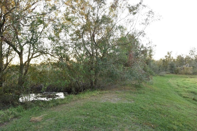 view of yard featuring a water view