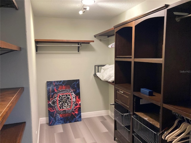 walk in closet with light wood-type flooring