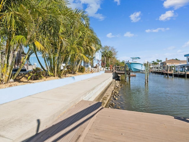 dock area with a water view