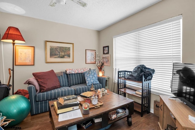 living room featuring dark hardwood / wood-style flooring and a textured ceiling