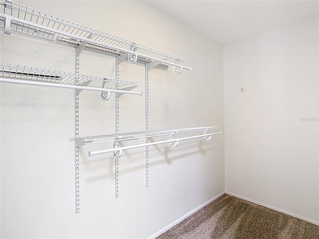 spacious closet with carpet