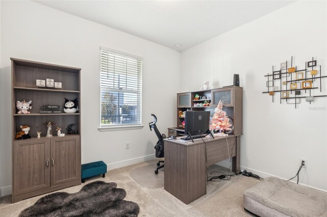 office space with light colored carpet