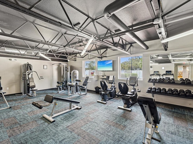 workout area featuring carpet flooring