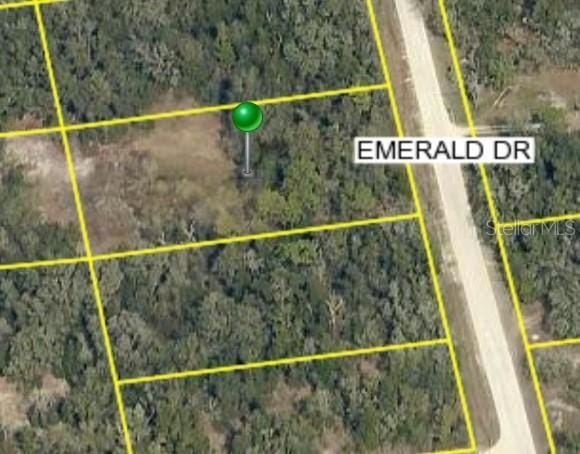 0 Emerald Dr, Ridge Manor FL, 33523 land for sale