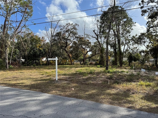 0 Centerwood Ave, Spring Hill, FL 34606 - photo 1