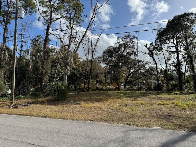 0 Centerwood Ave, Spring Hill, FL 34606 - photo 2