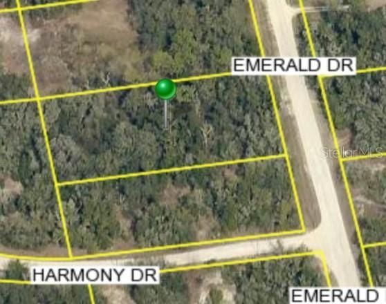 0 Emerald Dr, Ridge Manor FL, 33523 land for sale