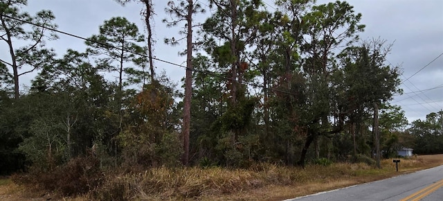 8131 Nightingale Rd, Weeki Wachee FL, 34613 land for sale