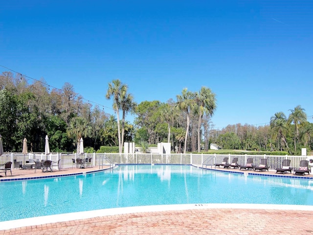 view of swimming pool featuring a patio area