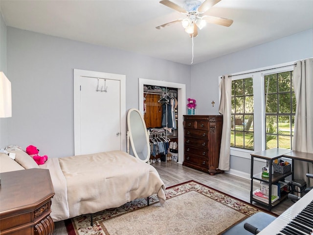 bedroom with multiple closets, ceiling fan, and light wood-type flooring