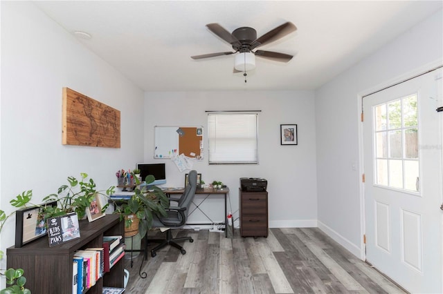 office space featuring light hardwood / wood-style flooring and ceiling fan