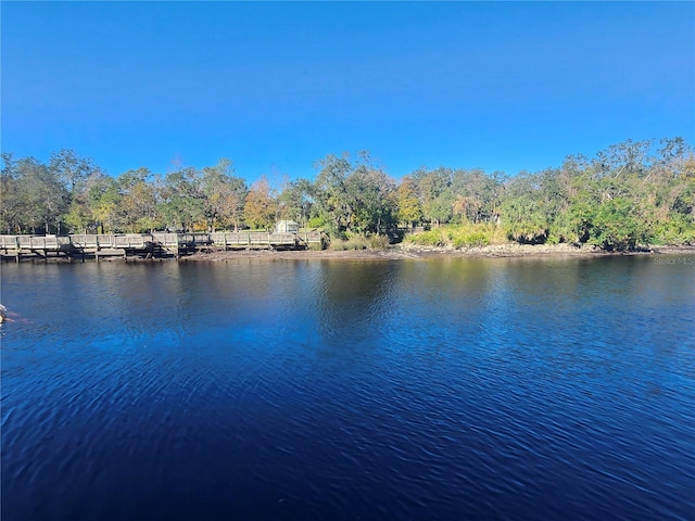 property view of water