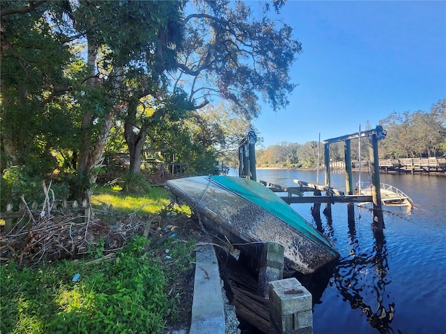 dock area with a water view