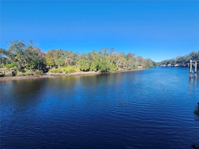 property view of water